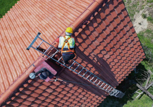 Best Asphalt Shingle Roofing  in Bear Rocks, PA